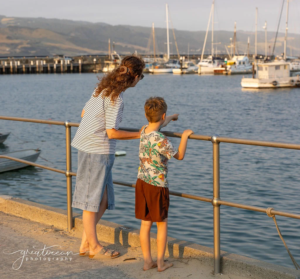 Additional image 8 of 1 Seeberg Court, Apollo Bay VIC 3233