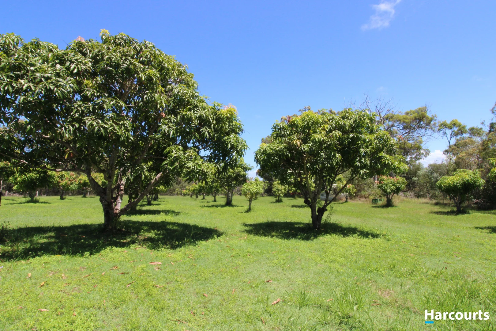 Additional image 5 of 397 Capricornia Drive, Deepwater QLD 4674