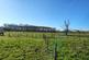 Additional image 3 of Mildenhall, Bury St Edmunds, Suffolk, IP28