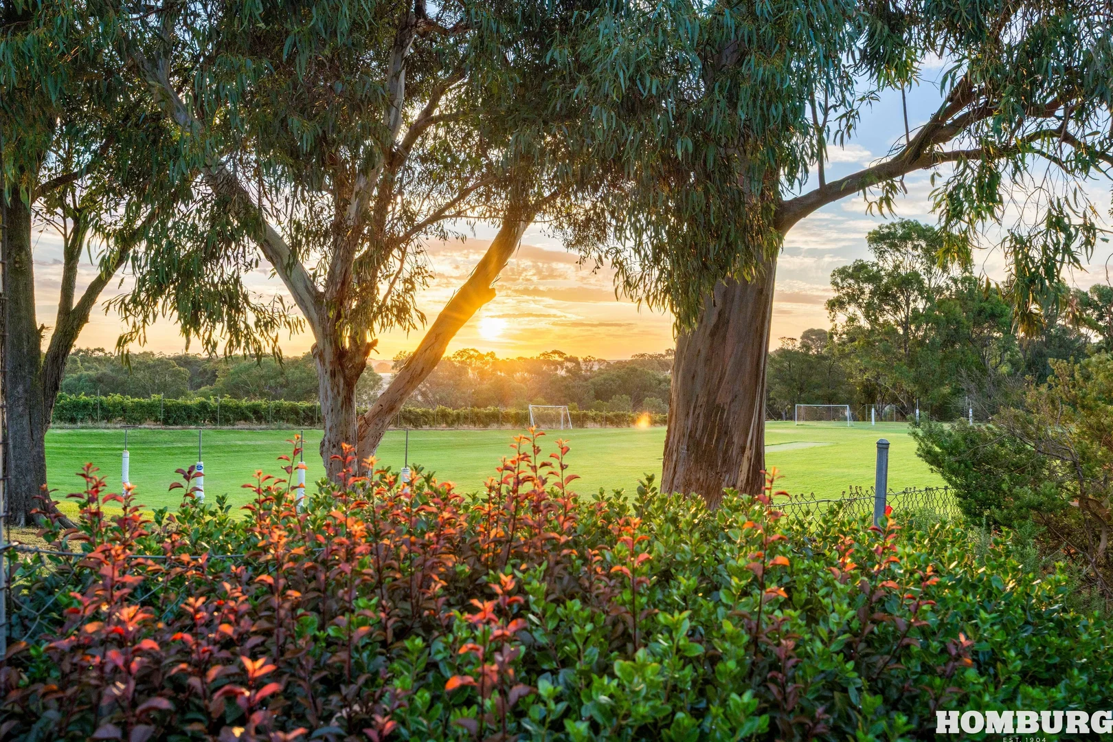 Additional image 21 of 24A Jane Place, Tanunda SA 5352