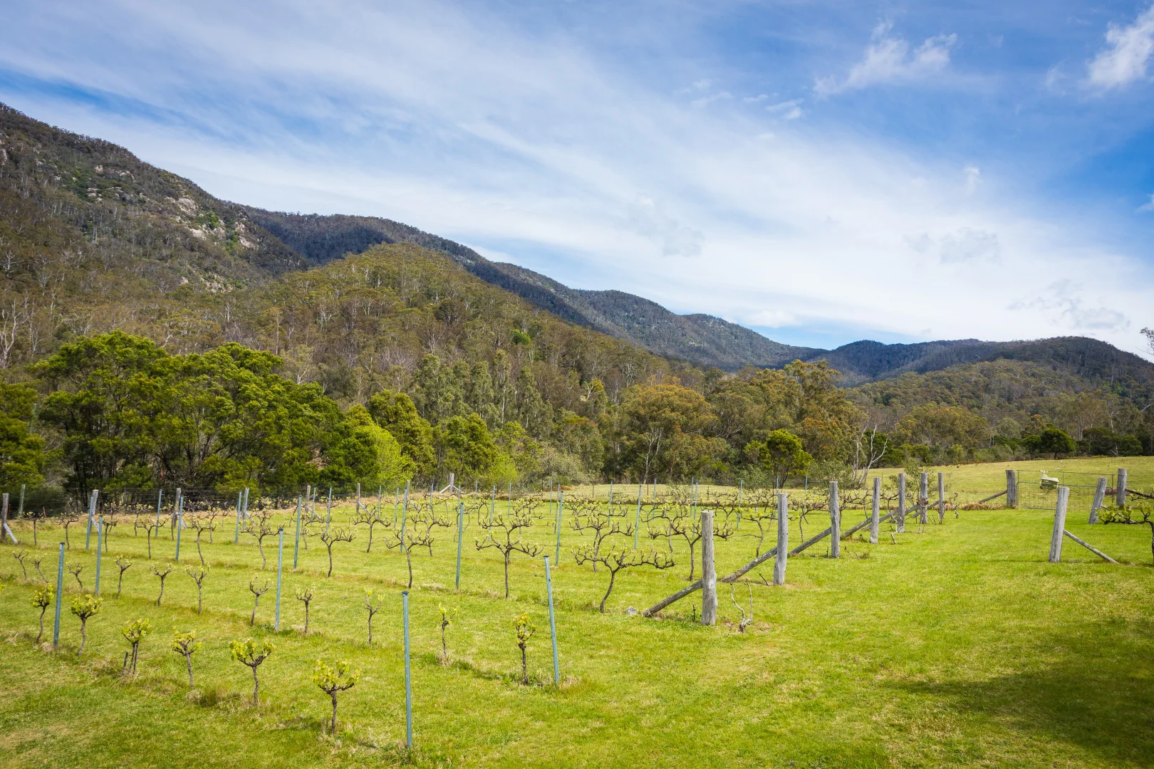 Additional image 38 of 1838 Big Jack Mountain Road, Rocky Hall NSW 2550