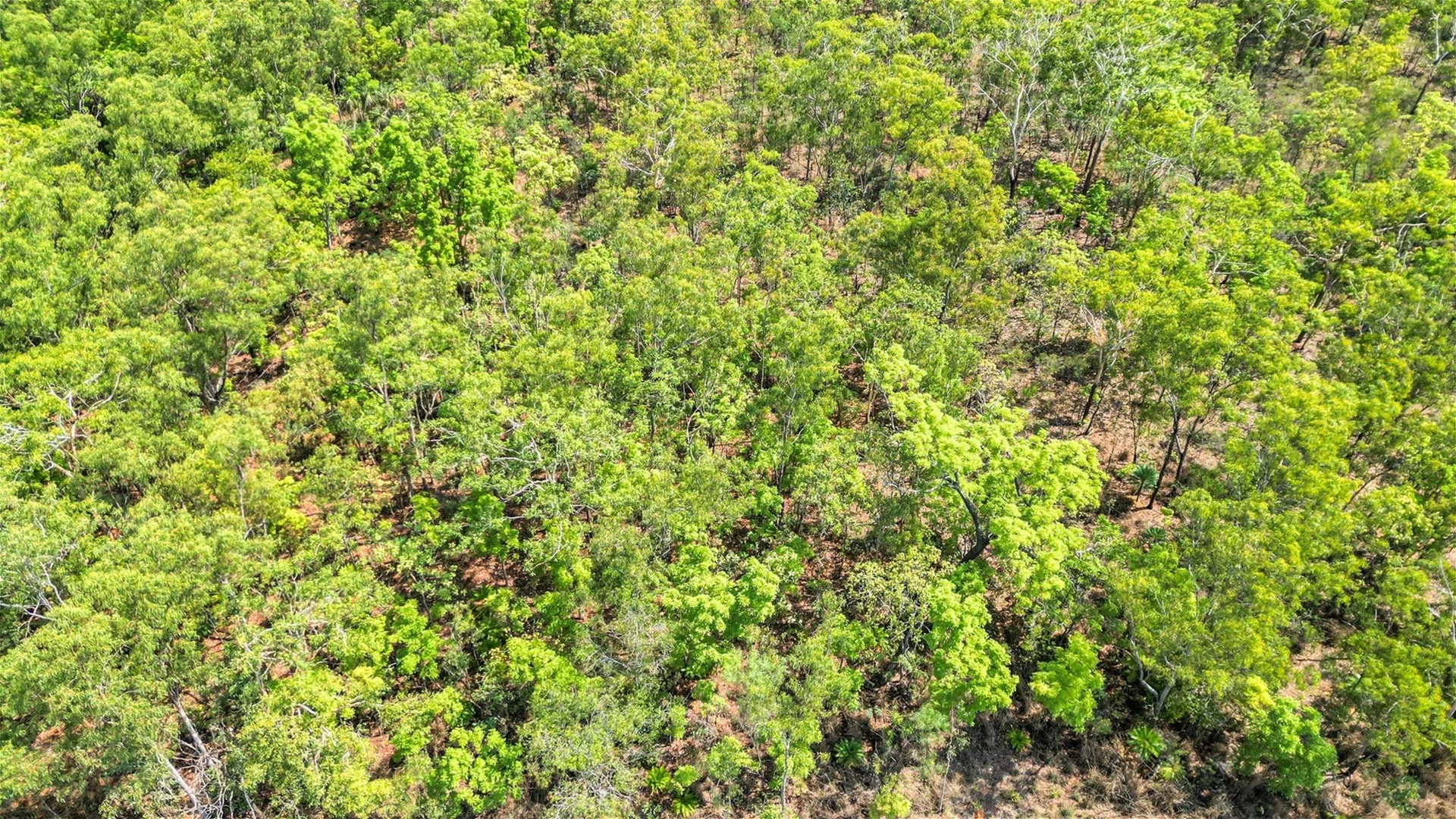 Additional image 6 of 200 Livingston Road, Livingstone NT 0822