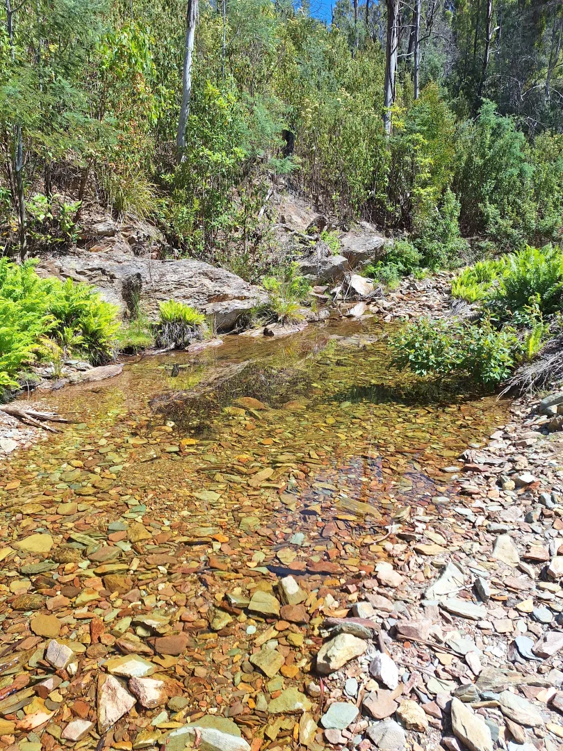 Additional image 15 of 141 Young Street, Mangana TAS 7214