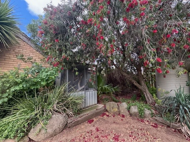 Additional image 16 of 4 Jenkins Street, Charlton VIC 3525