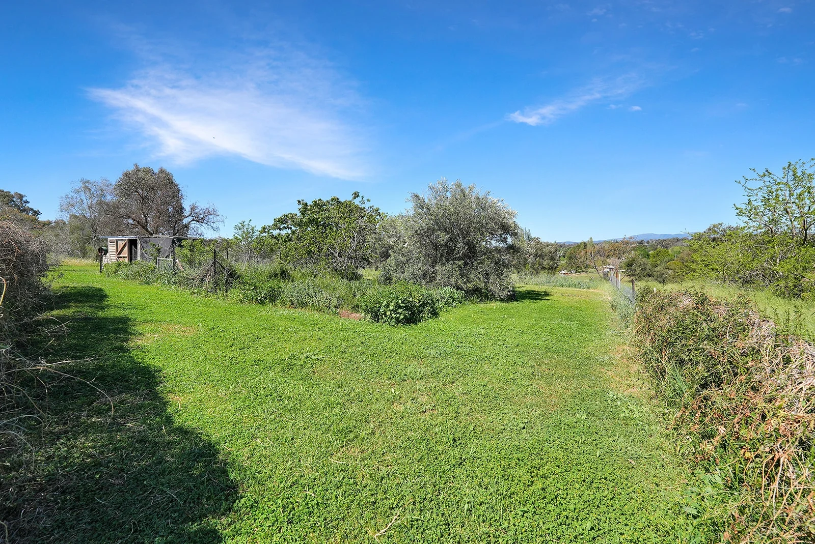 Additional image 31 of Cudal NSW 2864