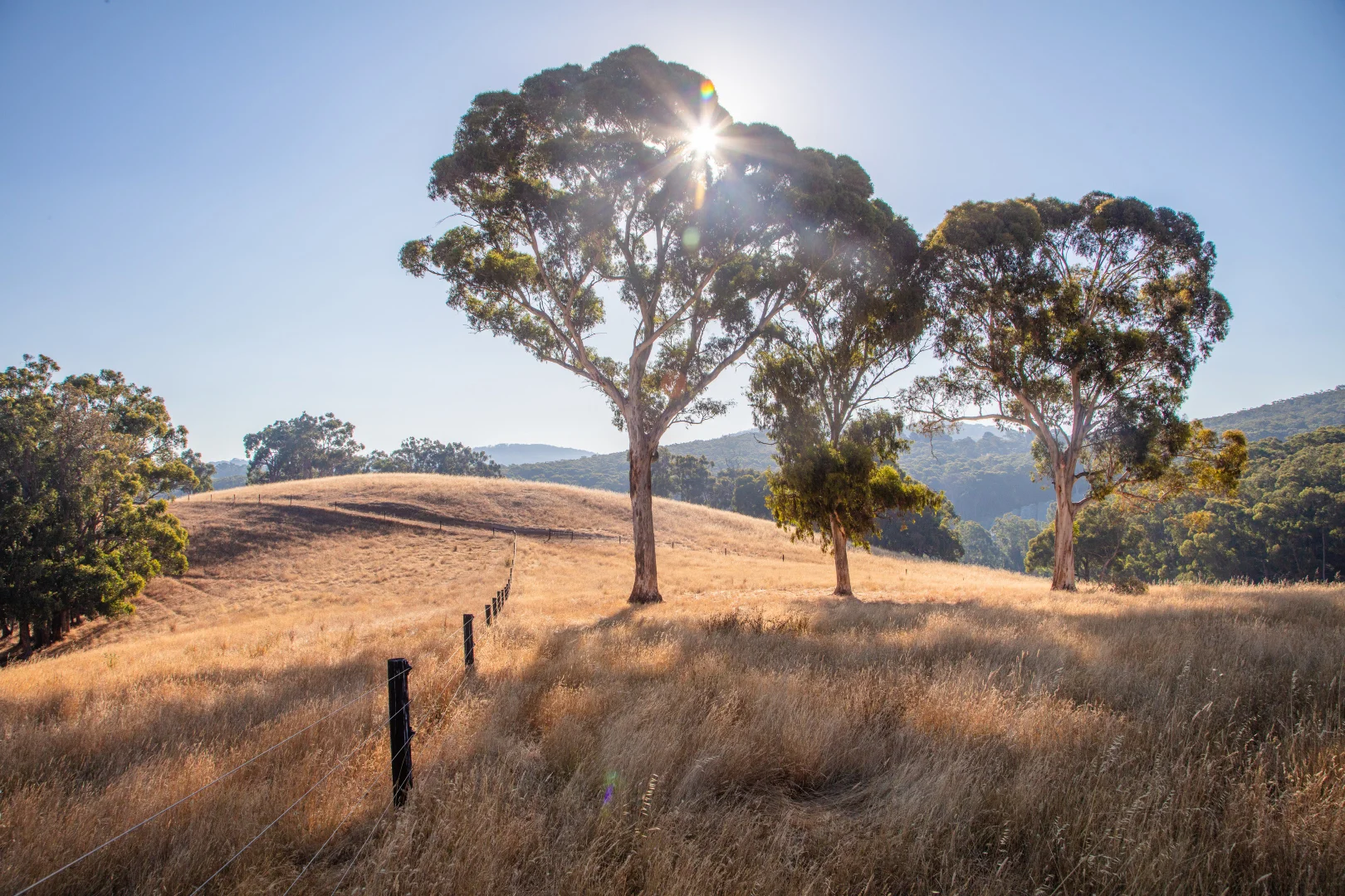 Additional image 33 of 2429A Greenhill Road, Balhannah SA 5242