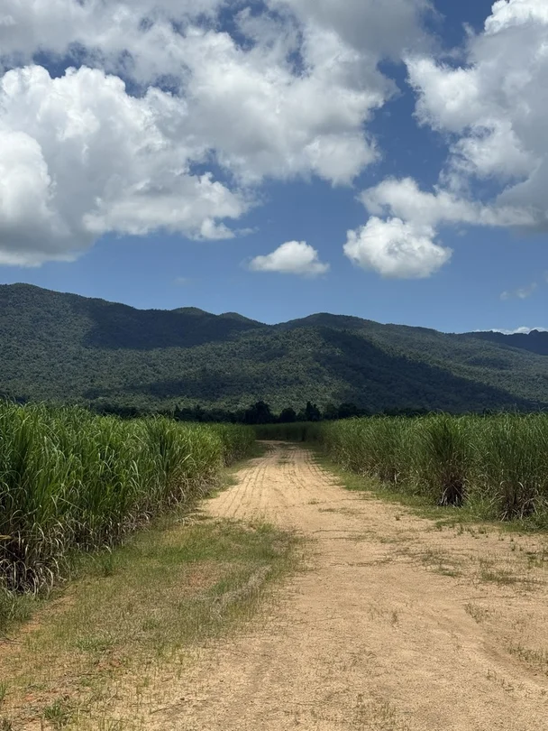 Additional image 6 of 53 Scougall Road, Jarra Creek QLD 4854