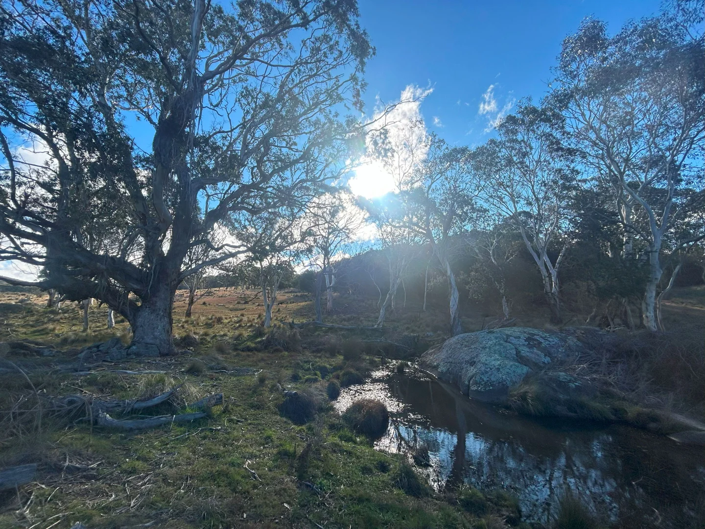 Additional image 10 of 11 & 128 Stoney Ridge Road, Braidwood NSW 2622