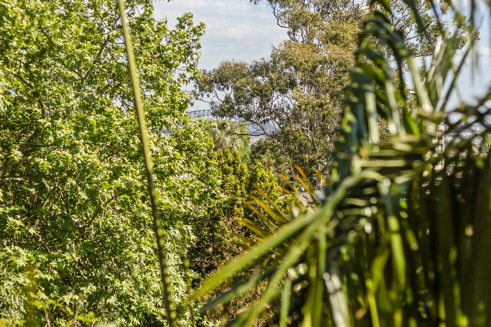 Additional image 3 of 4a/91 Ocean Street, Woollahra NSW 2025