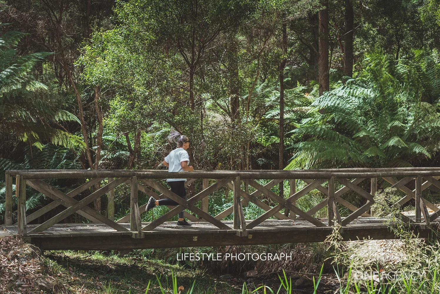 Additional image 33 of 6 Sassafras Crescent, Romaine TAS 7320