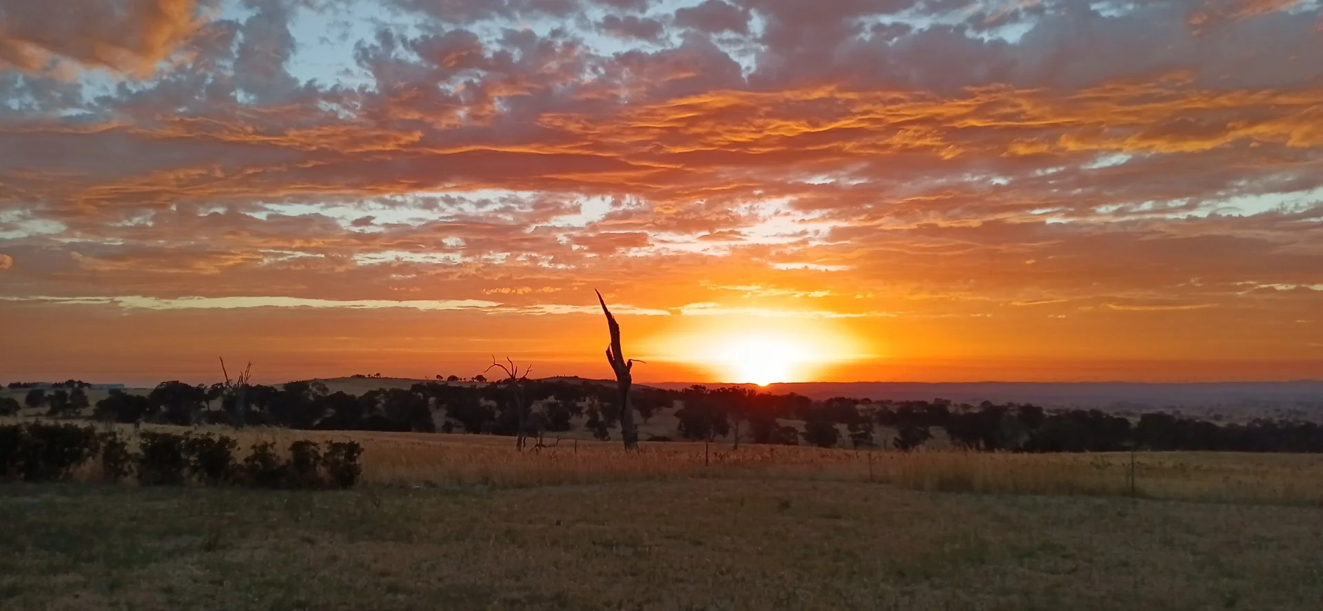 Additional image 23 of 2669 Sapphire Road, Wheeo via, Crookwell NSW 2583