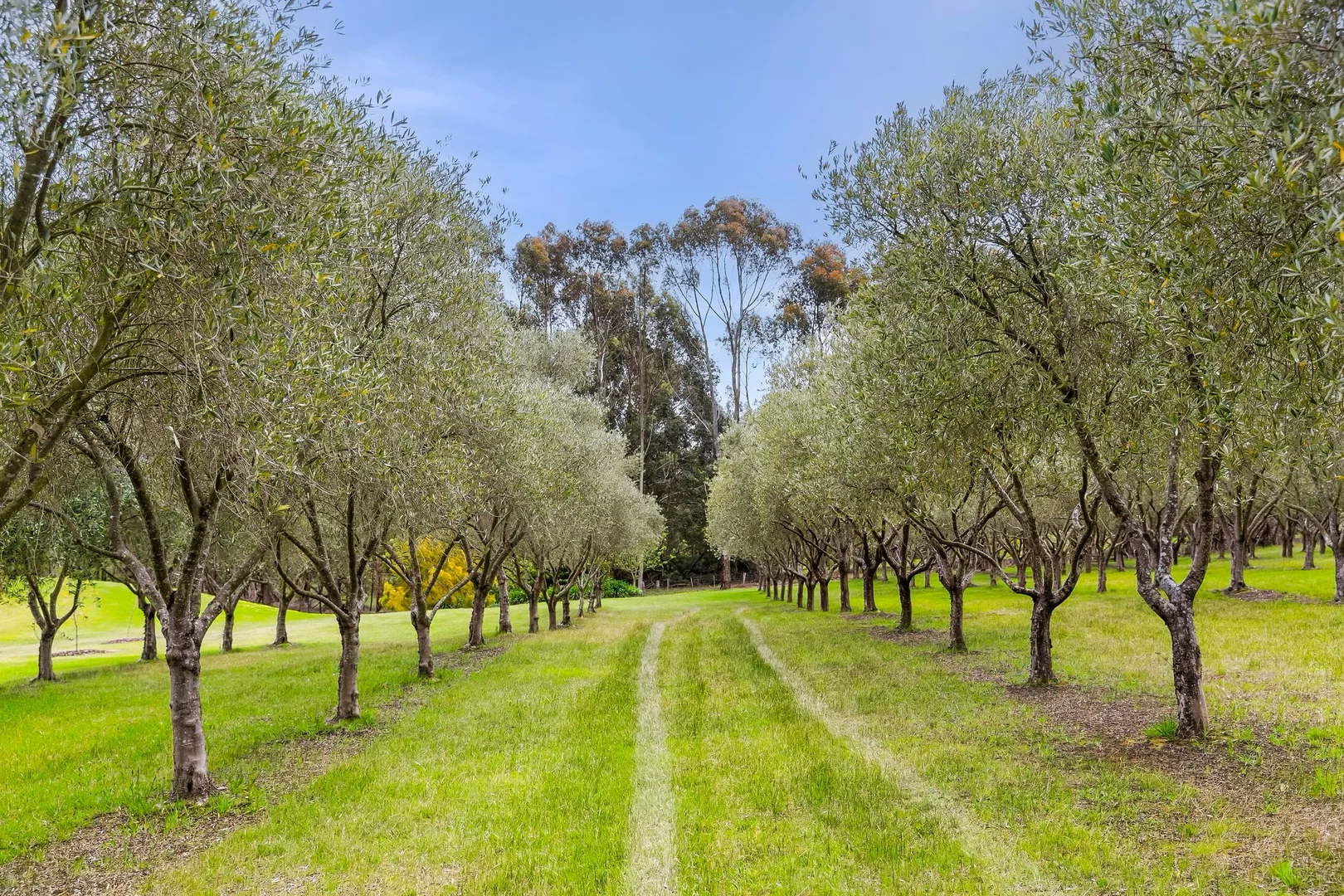 Additional image 23 of 405 Brickmakers Road, Bambra VIC 3241