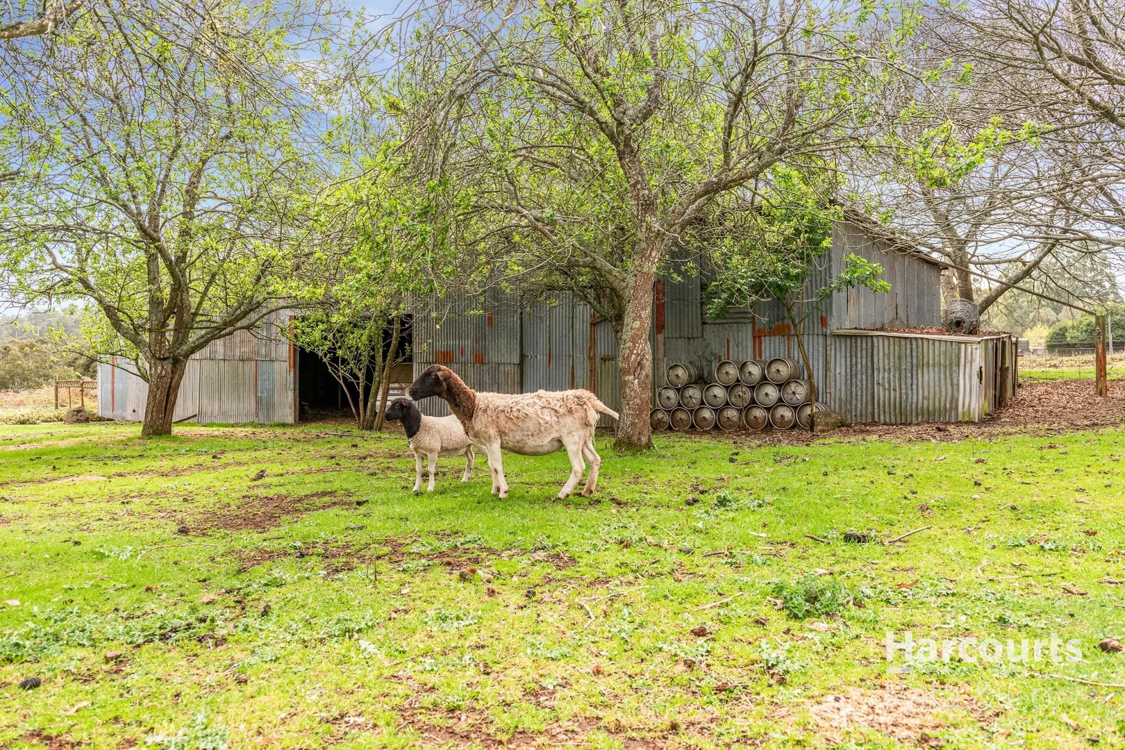 Additional image 11 of 1459 Daylesford-Trentham Road, Lyonville VIC 3461