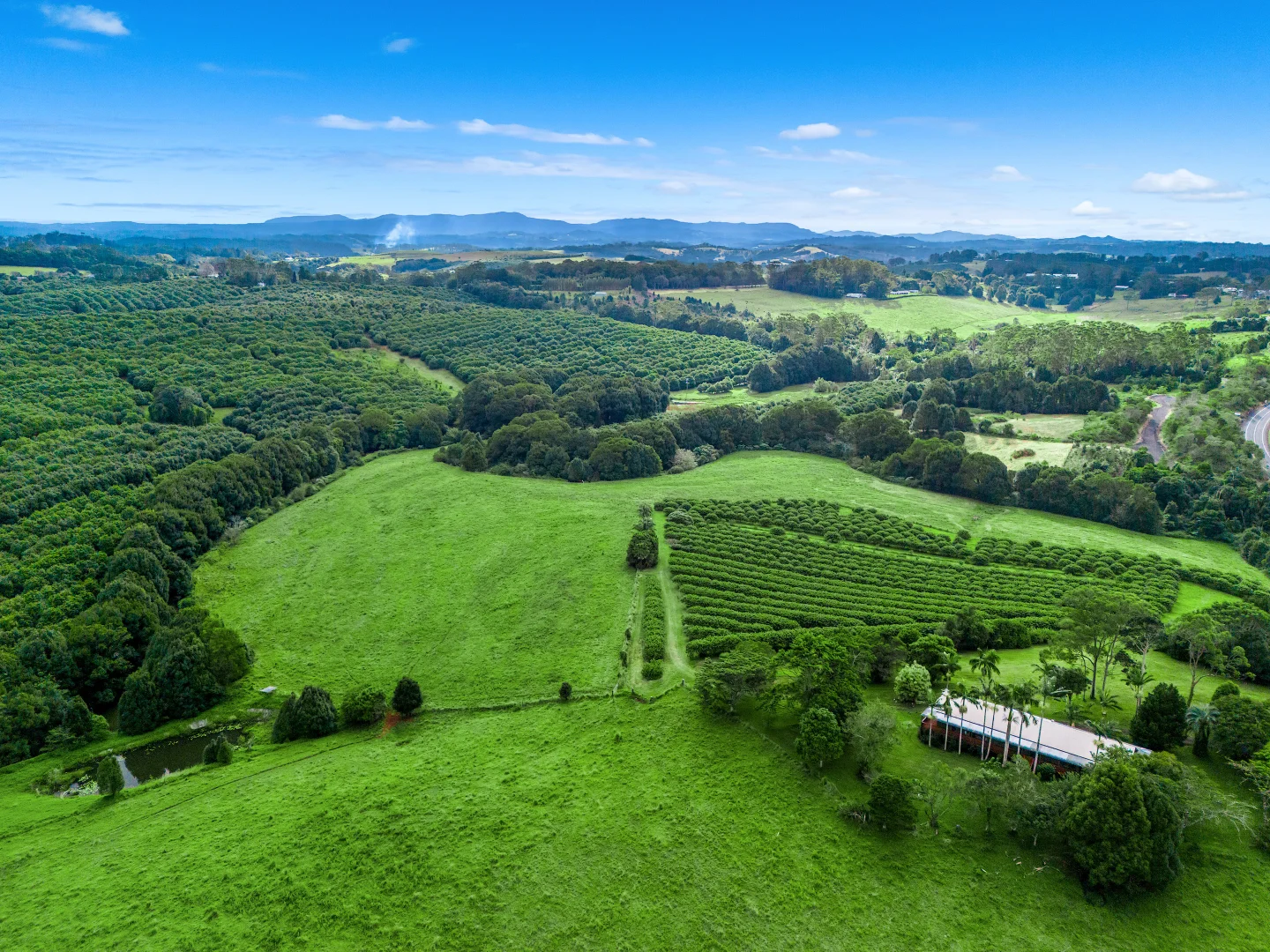 Additional image 34 of 617 Hinterland Way, Newrybar NSW 2479