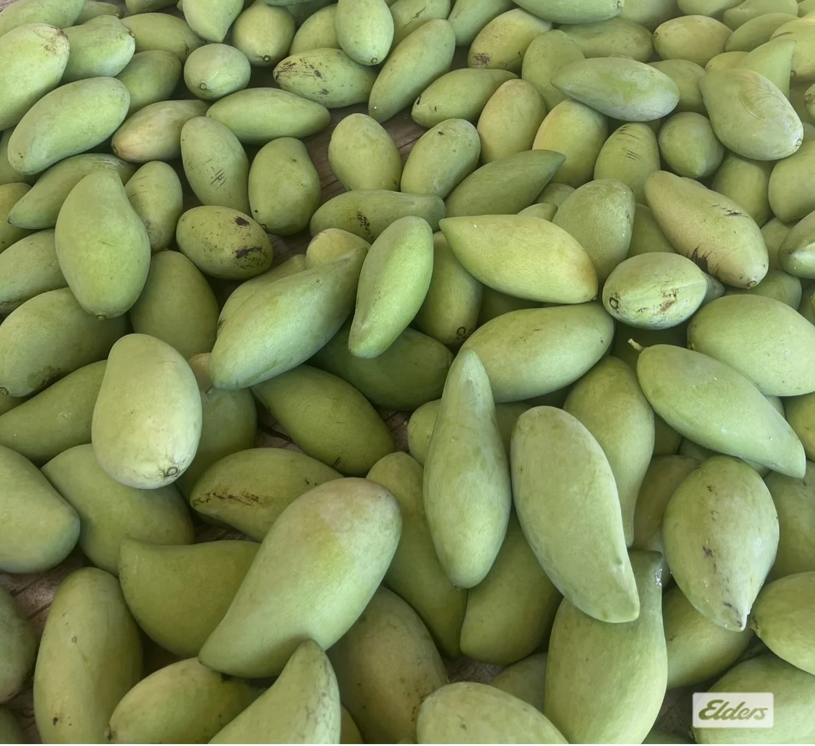 Additional image 25 of 125 Buckley Road, Lambells Lagoon NT 0822