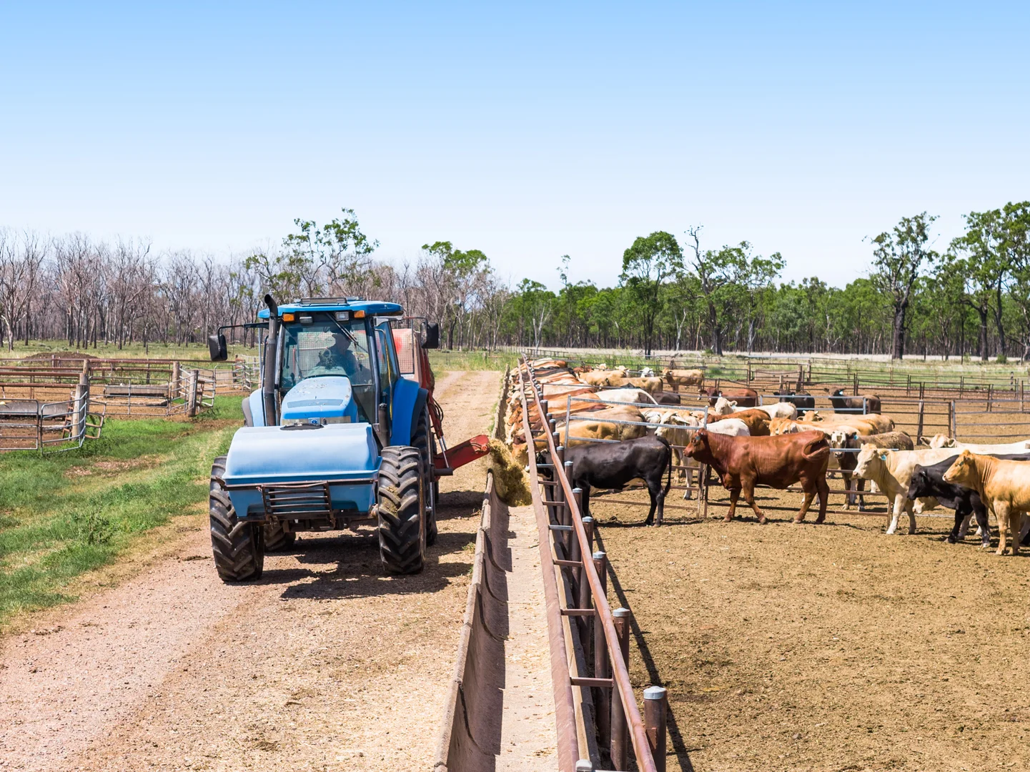 Additional image 7 of 'Ashby' 48 Felton View Road, Ellangowan QLD 4361