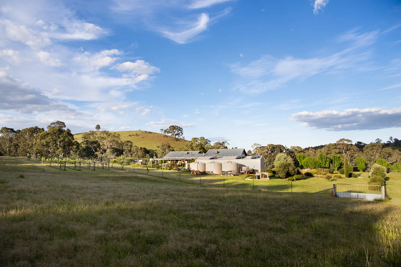 Additional image 16 of 38 Brock Road, Sedgwick VIC 3551
