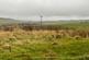 Additional image 5 of Crofters Cottage, Latheron, KW5 6DU