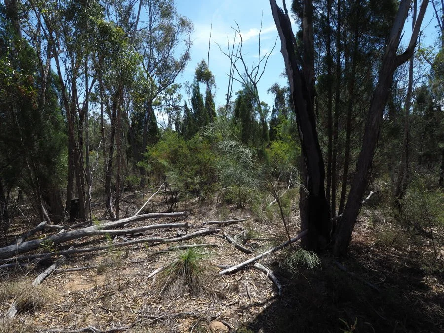 Additional image 8 of Lot 23 Melrose Estate Road, Warialda NSW 2402