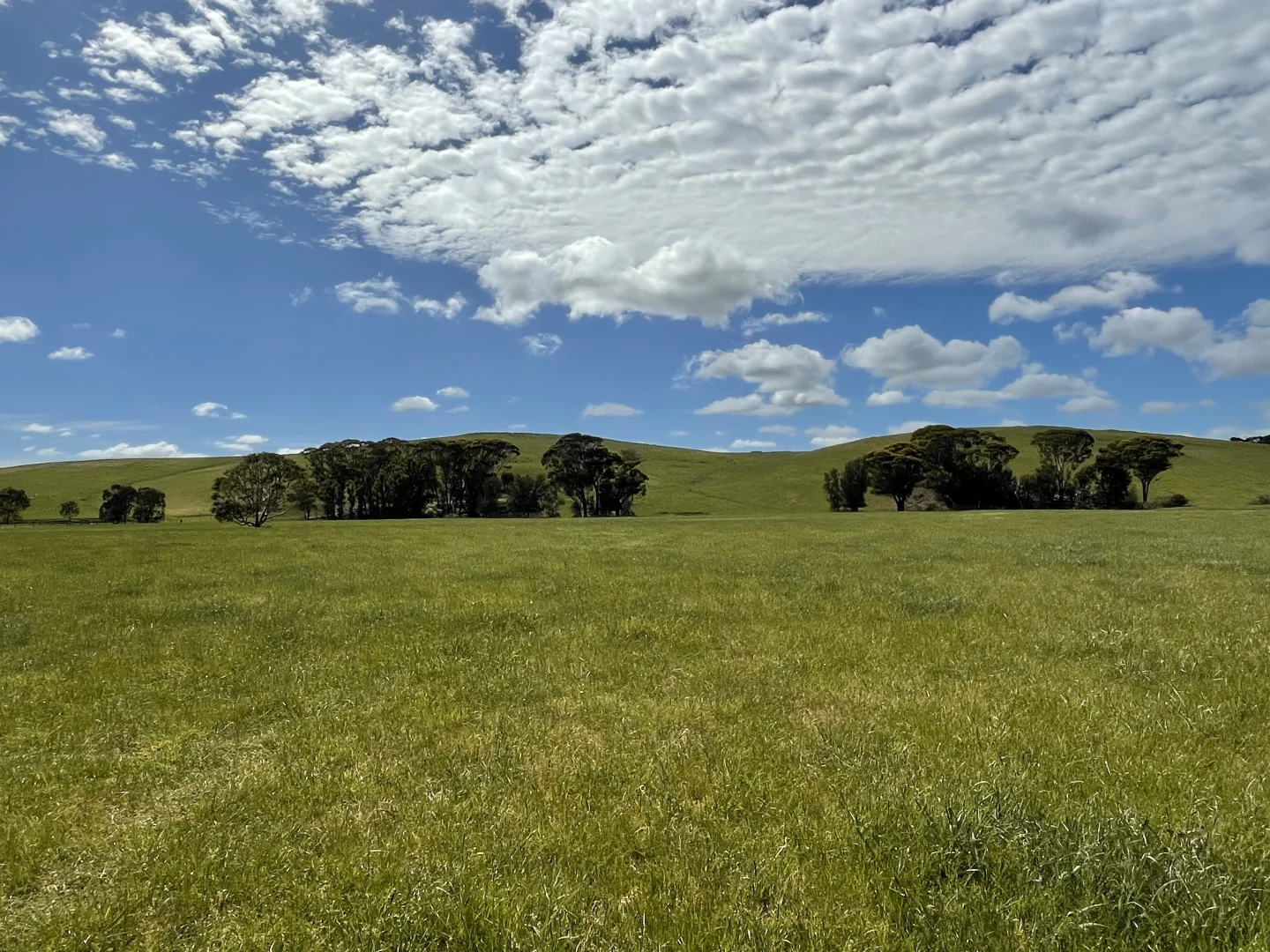 Additional image 8 of Cnr Glenelg Highway and Denhills Road, Coleraine VIC 3315