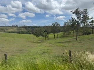 Additional image 14 of 142 PERRY RIVER FARMS RD, Morganville QLD 4671