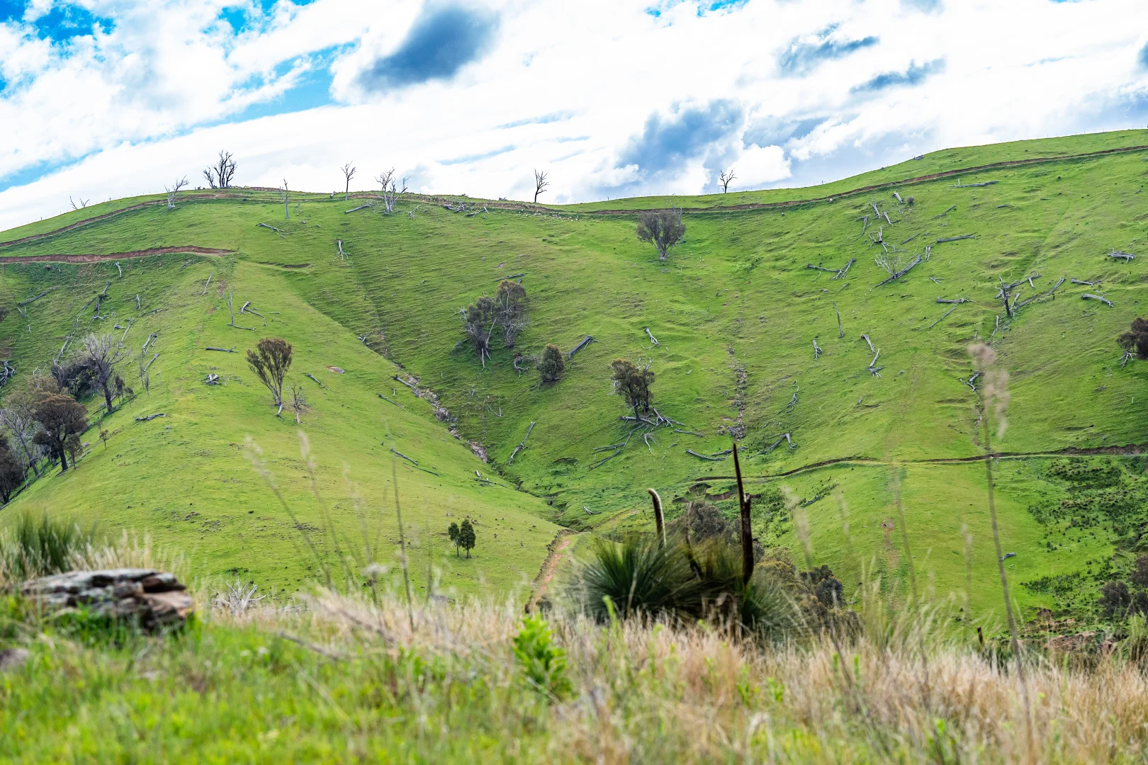 Additional image 8 of . Packers Road, Bethanga VIC 3691