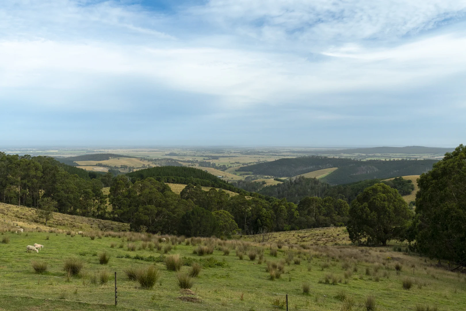 Additional image 43 of 230 Turpins Road, Madalya VIC 3971