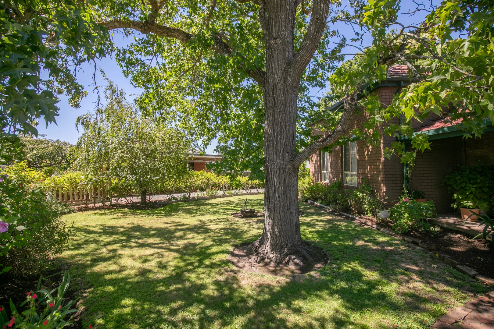 Additional image 5 of 11 Mann Street, Mount Barker SA 5251