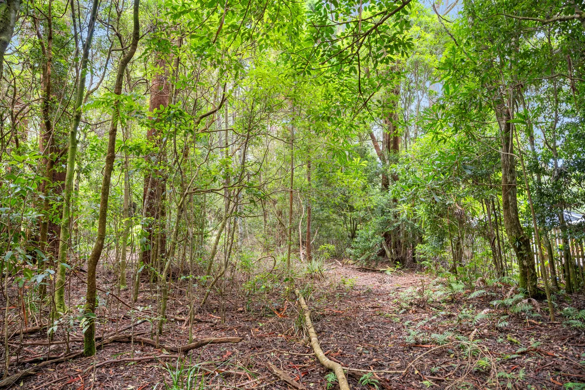 Additional image 11 of 5 Banksia Road, Springbrook QLD 4213