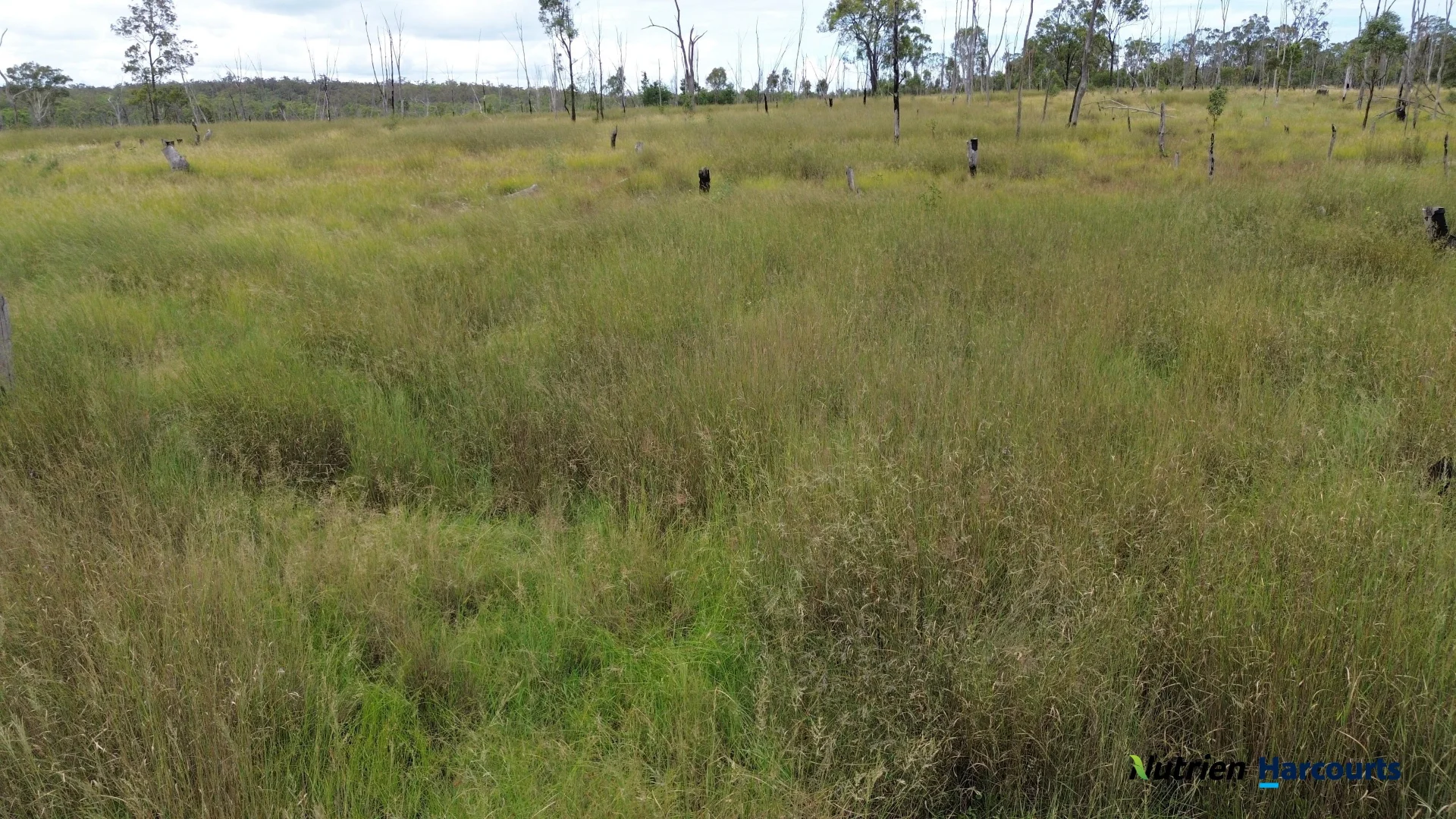 Additional image 7 of 754 Pedersens Road, Dangore QLD 4610