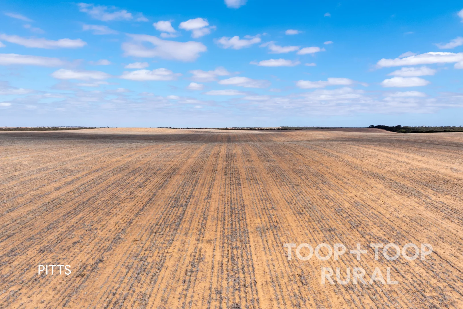 Additional image 28 of 833 Walshs Bore Road, Copeville SA 5308