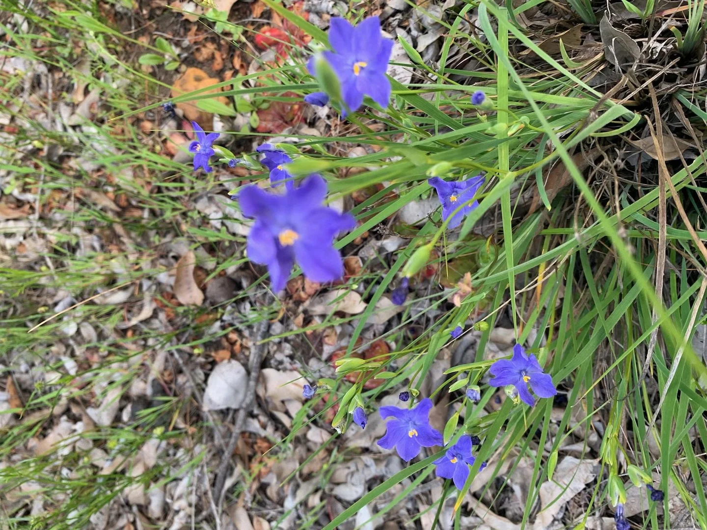 Additional image 31 of 55 Pen Road, Warradarge WA 6518