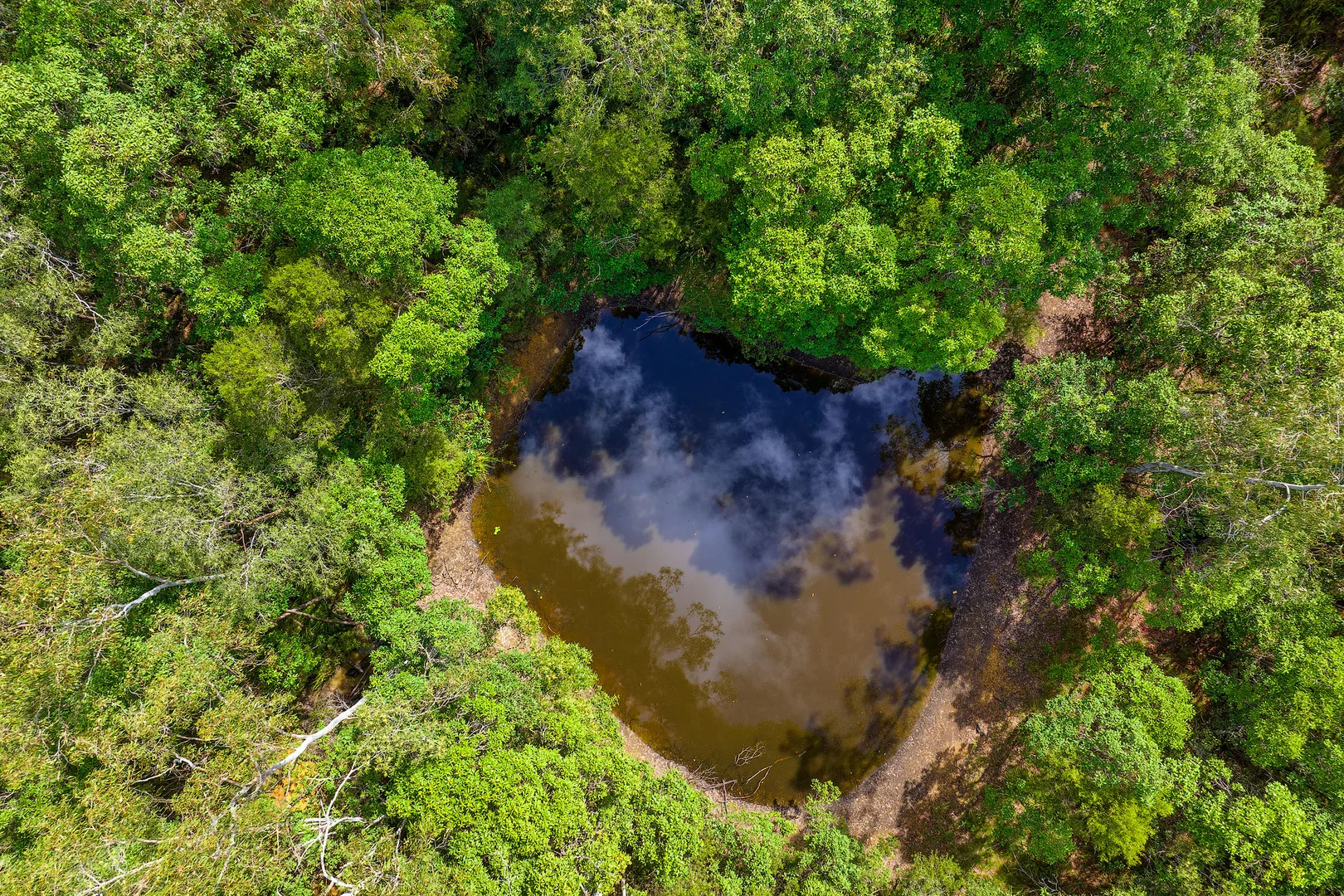 Additional image 20 of 10 O'Keeffe Road, Mothar Mountain QLD 4570