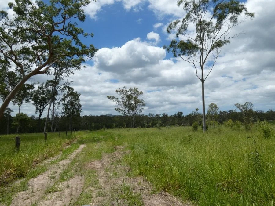 Additional image 11 of Lot 43 Moolyung Road, Waterloo QLD 4673