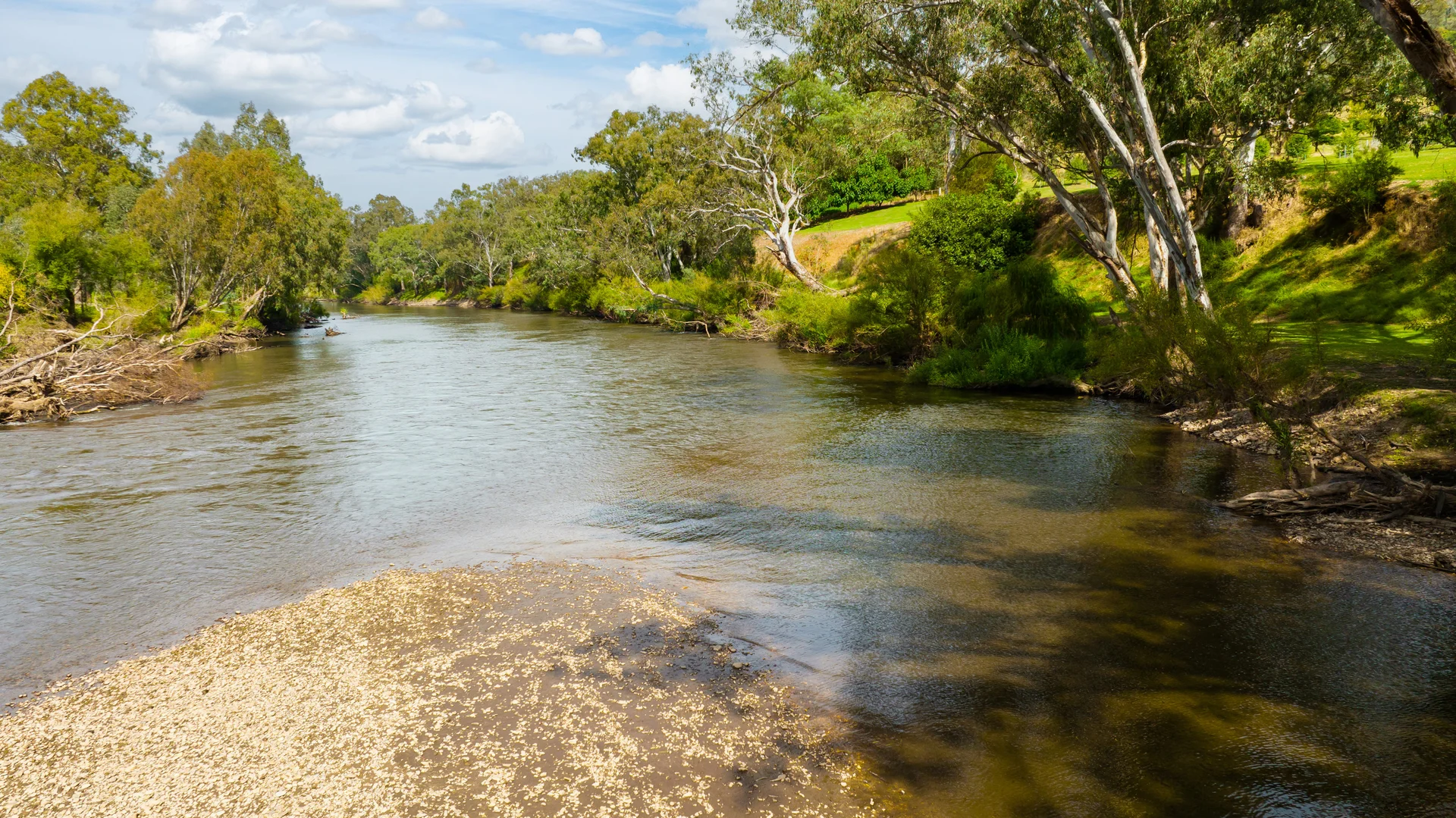 Additional image 22 of 4099 River Road, Jingellic NSW 2642