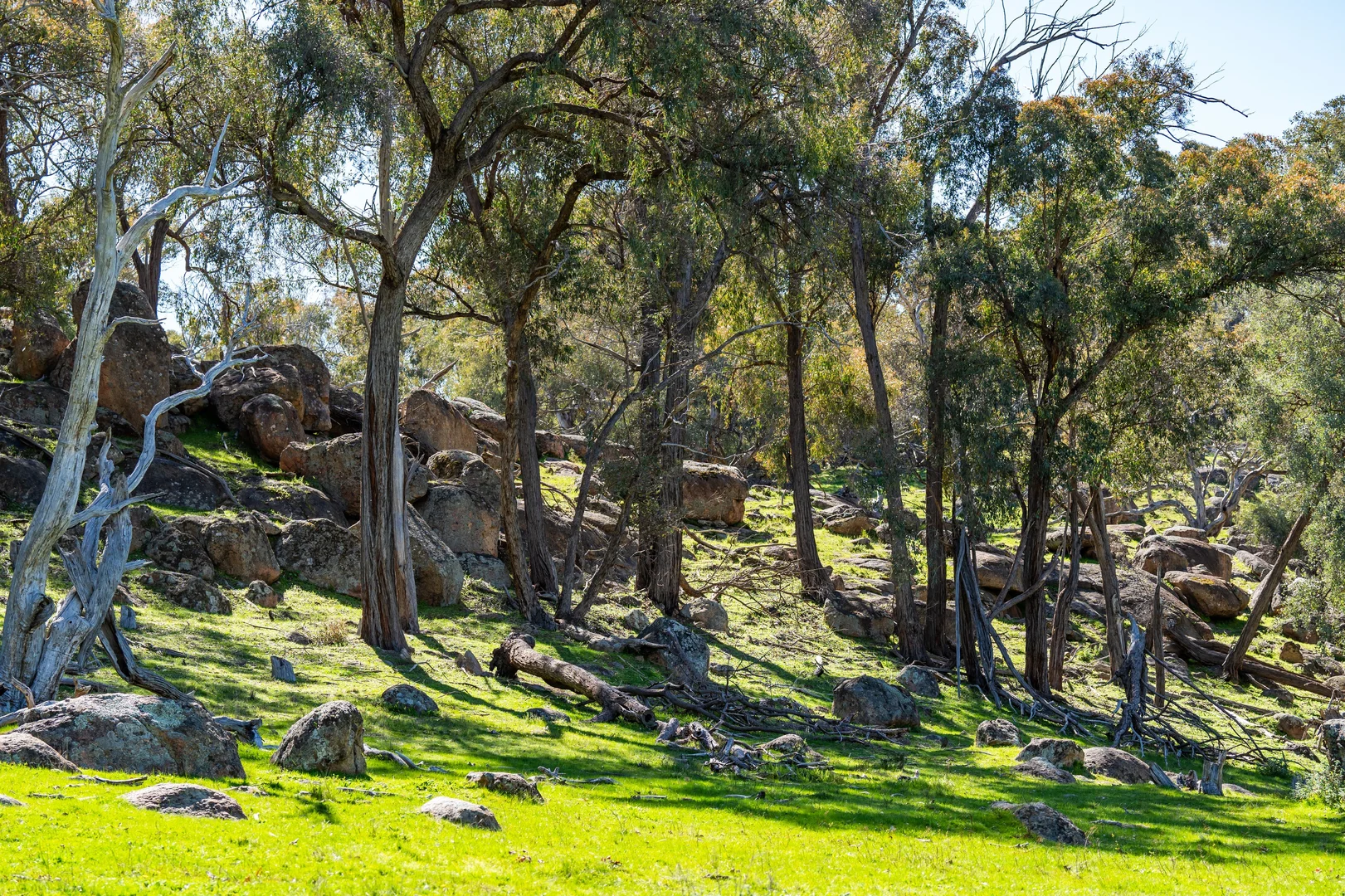 Additional image 17 of . Sanderson Road, Springhurst VIC 3682