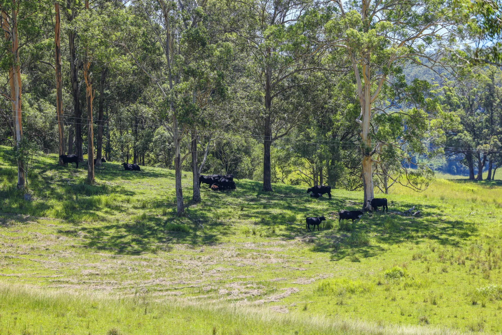Additional image 11 of 55 Argues Rd, Upper Taylors Arm NSW 2447