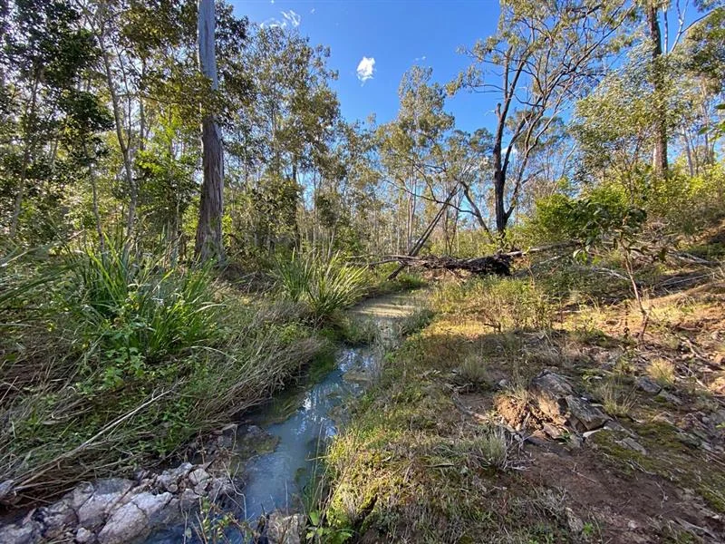 Additional image 19 of Good Night QLD 4671