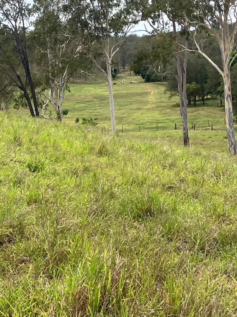 Additional image 25 of 142 PERRY RIVER FARMS RD, Morganville QLD 4671