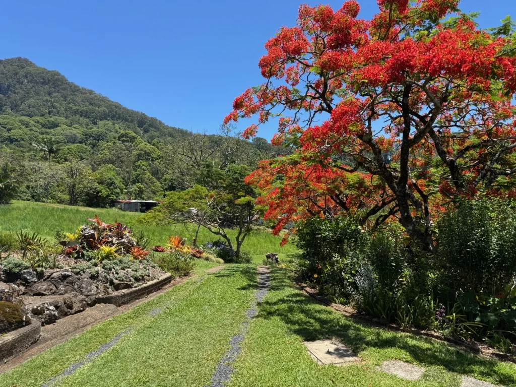 Additional image 25 of 197 Palmwoods Road, Palmwoods NSW 2482