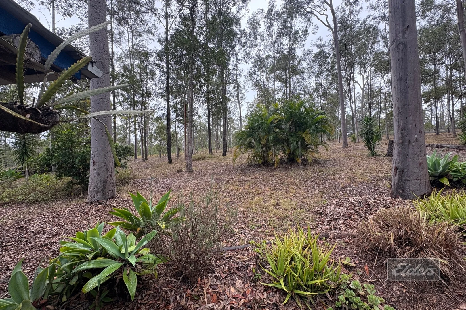 Additional image 14 of 36 Arborthree Road, Glenwood QLD 4570