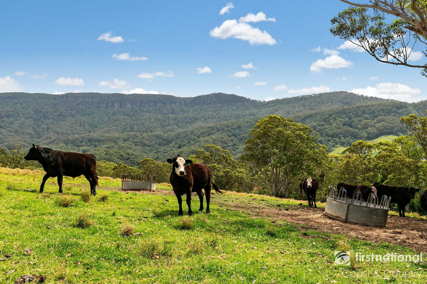 Additional image 5 of 259 Minnamurra Falls Road, Jamberoo NSW 2533
