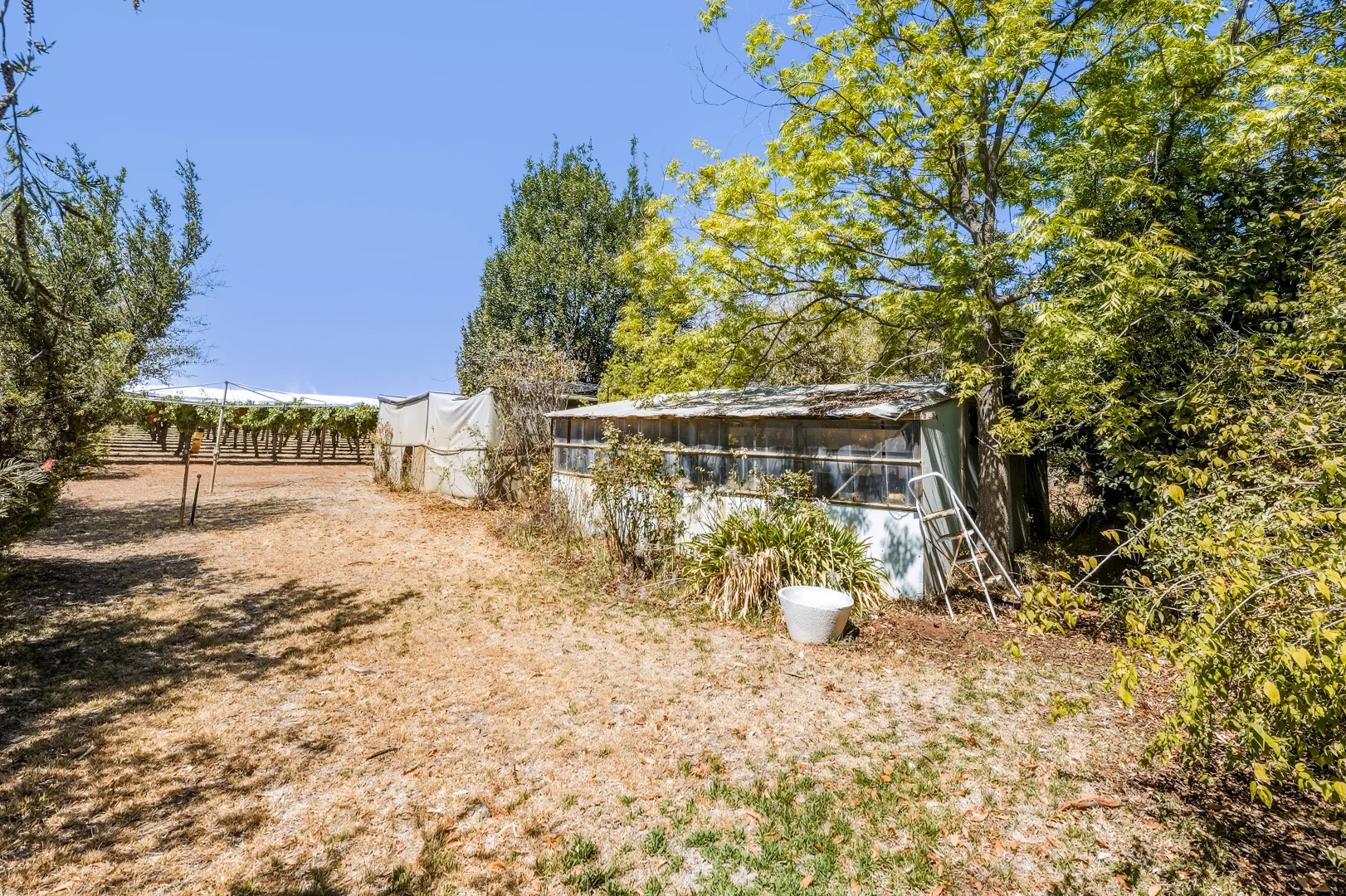 Additional image 21 of 113 Crete Road, Robinvale VIC 3549