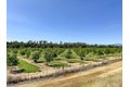 Additional image 24 of 18525 Farquhar Rd, Cottonwood, CA, 96022