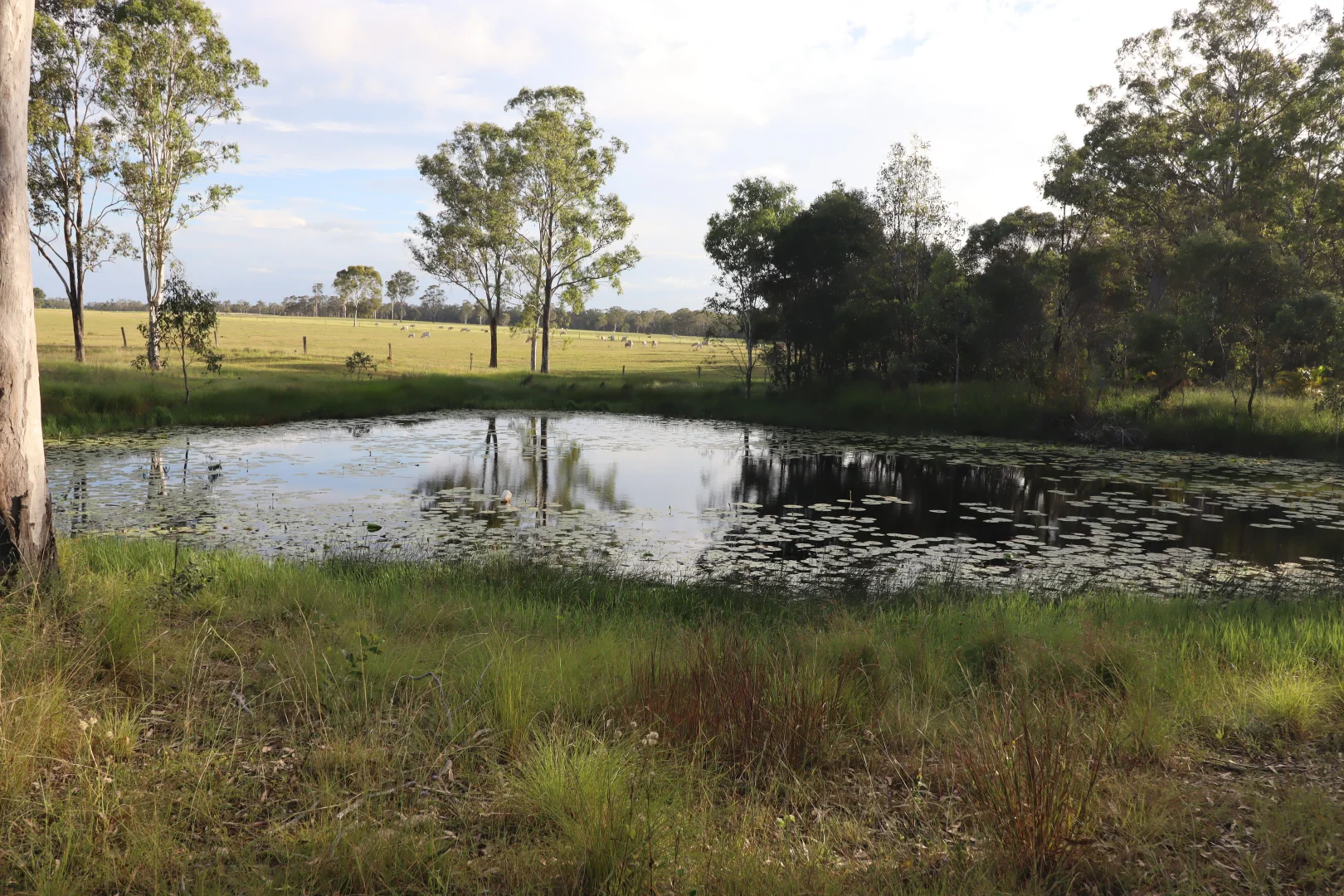 Additional image 22 of 2799 Rosedale Road, Yandaran QLD 4673