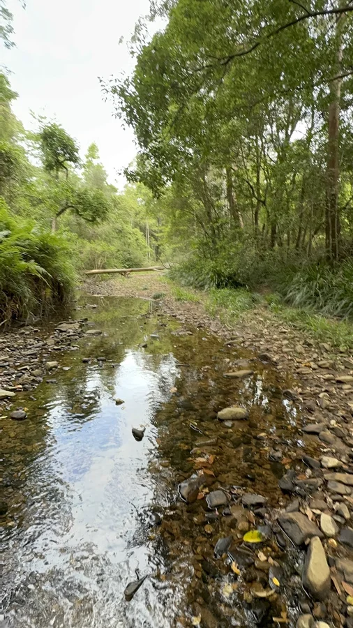 Additional image 26 of 5 Tanby Court, Mudgeeraba QLD 4213
