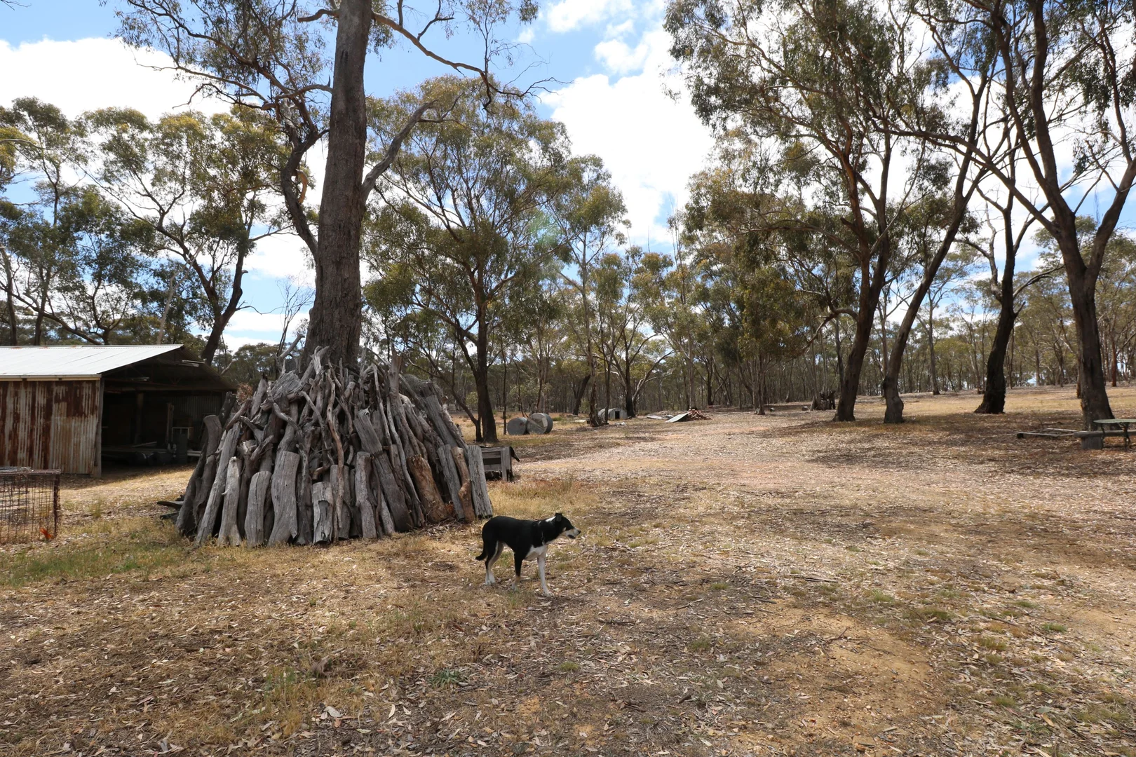 Additional image 22 of 670 Dunolly-Moliagul Road, Goldsborough VIC 3472