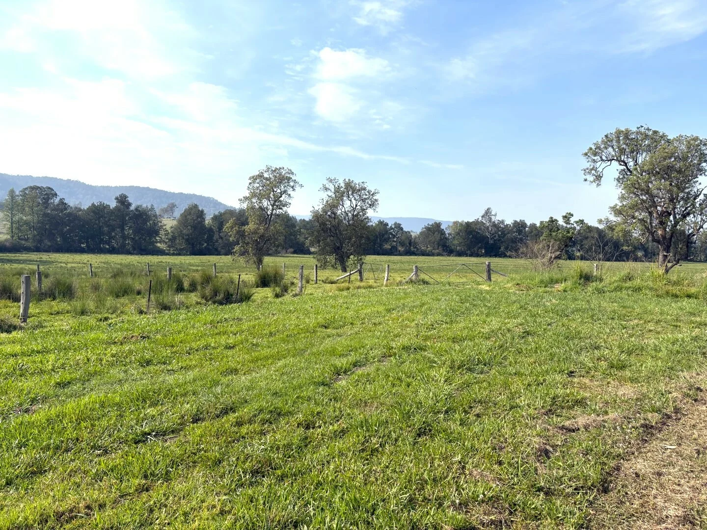 Additional image 11 of 15754 Clarence Way, Bonalbo NSW 2469