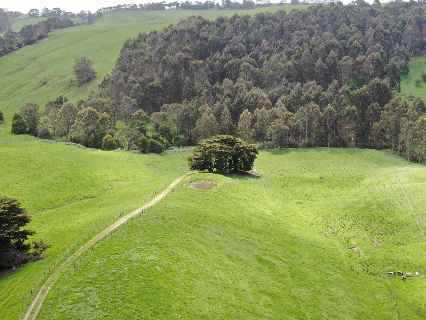 Additional image 22 of 59 Bellview Lane, Korumburra VIC 3950