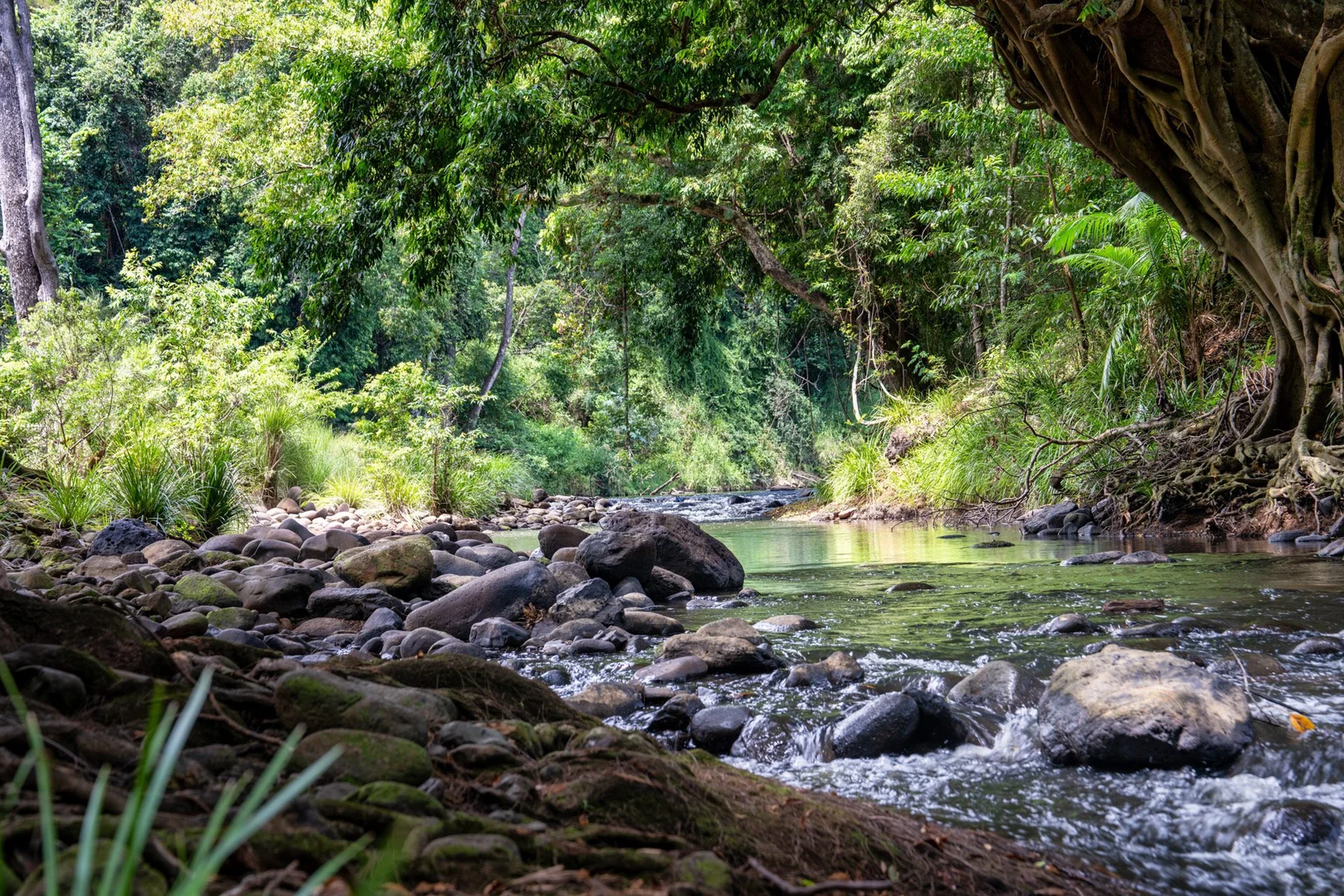 Additional image 26 of 50-52 Palmers Road, Terragon NSW 2484